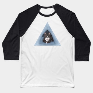 Tabby and White Cat Baseball T-Shirt